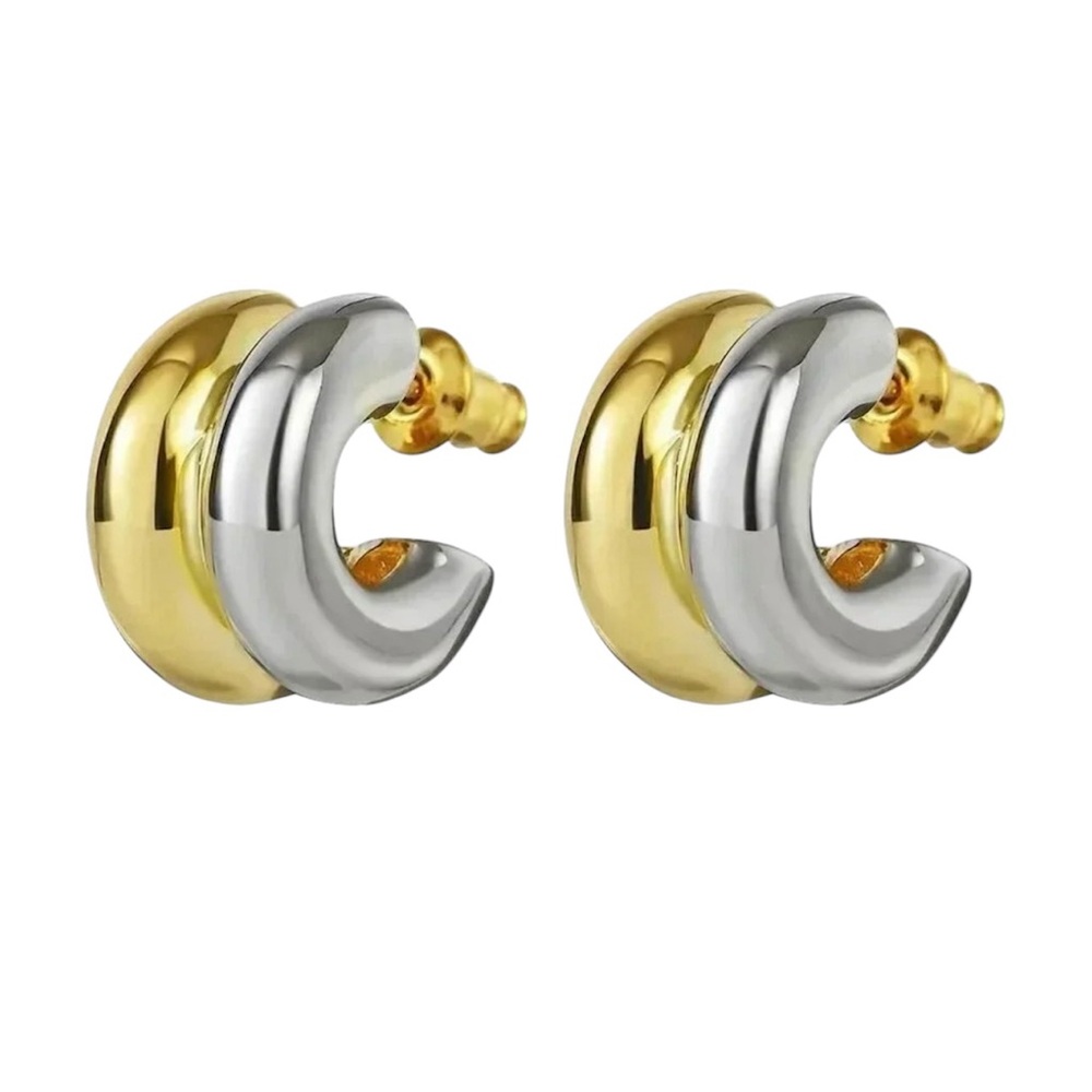 Stainless Steel Gold and Silver Hoop Earrings